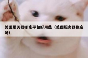 美国服务器哪家平台好用些（美国服务器稳定吗）