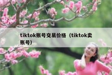 tiktok账号交易价格（tiktok卖账号）