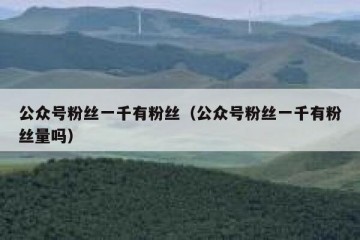 公众号粉丝一千有粉丝（公众号粉丝一千有粉丝量吗）