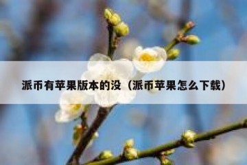 派币有苹果版本的没（派币苹果怎么下载）