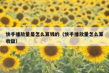 快手播放量是怎么算钱的（快手播放量怎么算收益）