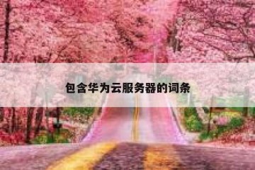 包含华为云服务器的词条