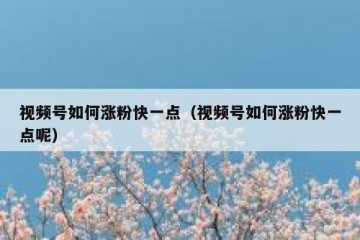 视频号如何涨粉快一点（视频号如何涨粉快一点呢）