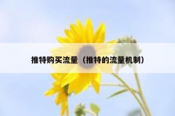 推特购买流量（推特的流量机制）