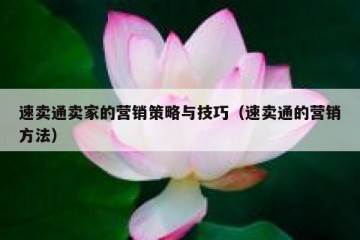 速卖通卖家的营销策略与技巧（速卖通的营销方法）