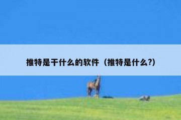 推特是干什么的软件（推特是什么?）