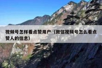 视频号怎样看点赞用户（微信视频号怎么看点赞人的信息）