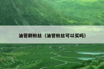 油管刷粉丝（油管粉丝可以买吗）