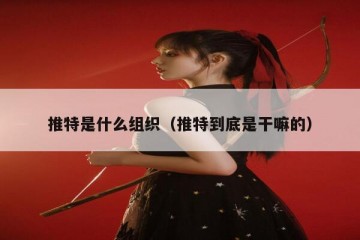 推特是什么组织（推特到底是干嘛的）