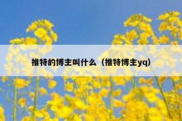 推特的博主叫什么（推特博主yq）