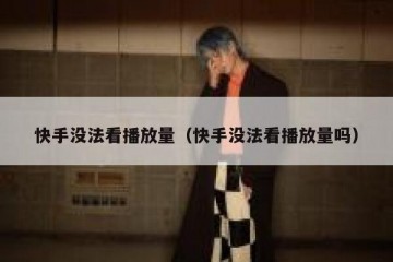 快手没法看播放量（快手没法看播放量吗）