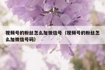 视频号的粉丝怎么加微信号（视频号的粉丝怎么加微信号码）