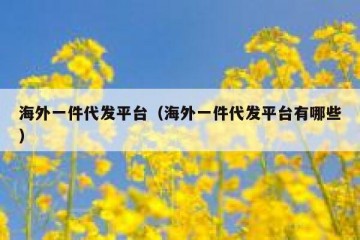 海外一件代发平台（海外一件代发平台有哪些）