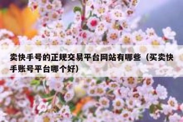 卖快手号的正规交易平台网站有哪些（买卖快手账号平台哪个好）