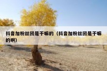 抖音加粉丝团是干嘛的（抖音加粉丝团是干嘛的啊）