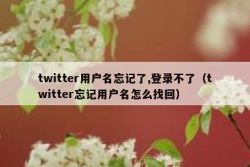twitter用户名忘记了,登录不了（twitter忘记用户名怎么找回）