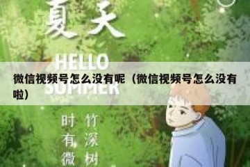微信视频号怎么没有呢（微信视频号怎么没有啦）