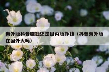 海外版抖音赚钱还是国内版挣钱（抖音海外版在国外火吗）