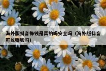 海外版抖音挣钱是真的吗安全吗（海外版抖音可以赚钱吗）