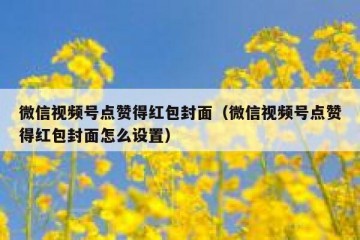 微信视频号点赞得红包封面（微信视频号点赞得红包封面怎么设置）
