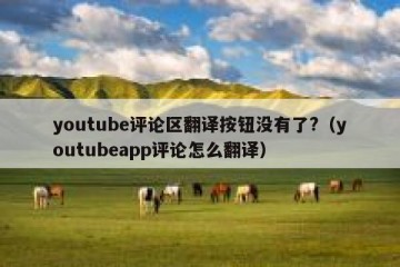 youtube评论区翻译按钮没有了?（youtubeapp评论怎么翻译）