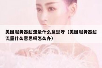 美国服务器超流量什么意思呀（美国服务器超流量什么意思呀怎么办）