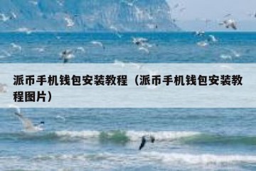 派币手机钱包安装教程（派币手机钱包安装教程图片）