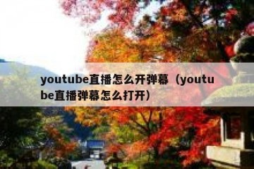 youtube直播怎么开弹幕（youtube直播弹幕怎么打开）