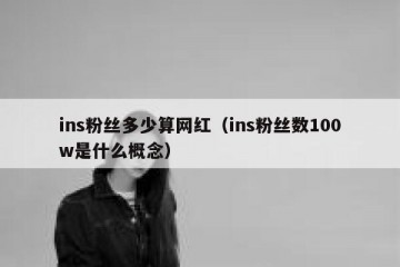 ins粉丝多少算网红（ins粉丝数100w是什么概念）