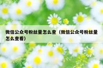 微信公众号粉丝量怎么查（微信公众号粉丝量怎么查看）