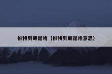 推特到底是啥（推特到底是啥意思）