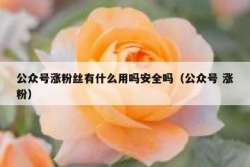 公众号涨粉丝有什么用吗安全吗（公众号 涨粉）