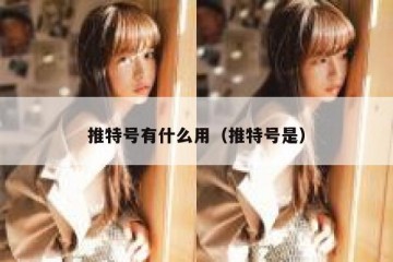 推特号有什么用（推特号是）