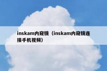 inskam内窥镜（inskam内窥镜连接手机视频）
