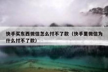 快手买东西微信怎么付不了款（快手里微信为什么付不了款）