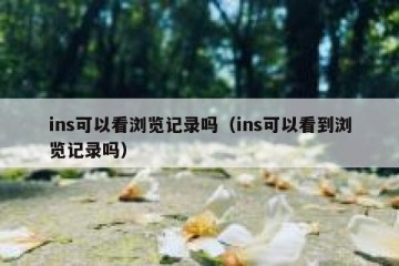 ins可以看浏览记录吗（ins可以看到浏览记录吗）