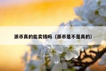 派币真的能卖钱吗（派币是不是真的）