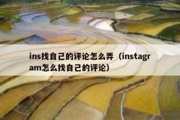 ins找自己的评论怎么弄（instagram怎么找自己的评论）