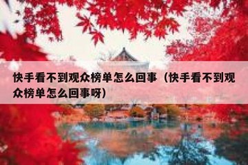 快手看不到观众榜单怎么回事（快手看不到观众榜单怎么回事呀）