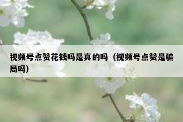 视频号点赞花钱吗是真的吗（视频号点赞是骗局吗）
