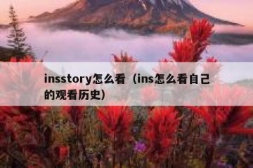 insstory怎么看（ins怎么看自己的观看历史）
