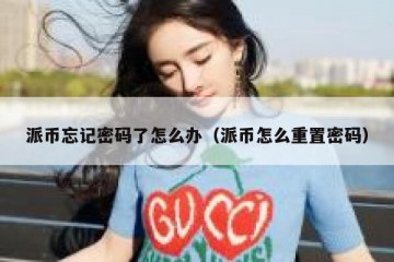 派币忘记密码了怎么办（派币怎么重置密码）