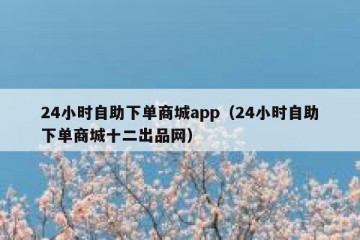 24小时自助下单商城app（24小时自助下单商城十二出品网）