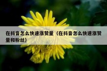 在抖音怎么快速涨赞量（在抖音怎么快速涨赞量和粉丝）