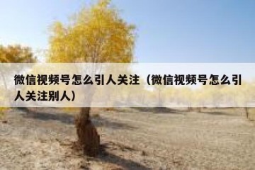微信视频号怎么引人关注（微信视频号怎么引人关注别人）