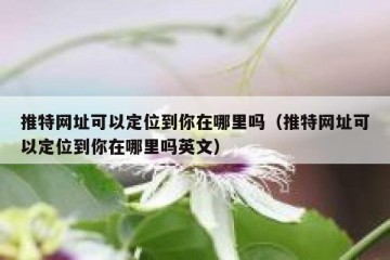 推特网址可以定位到你在哪里吗（推特网址可以定位到你在哪里吗英文）