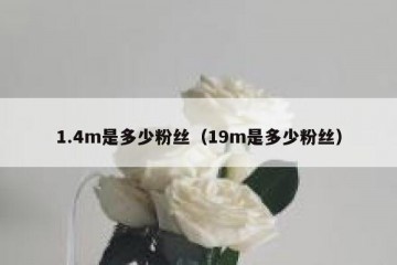 1.4m是多少粉丝（19m是多少粉丝）