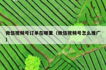 微信视频号订单在哪里（微信视频号怎么推广）