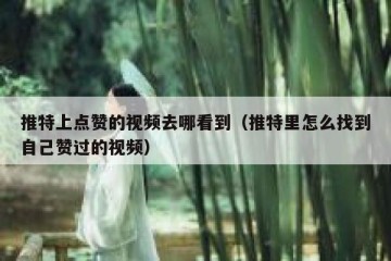 推特上点赞的视频去哪看到（推特里怎么找到自己赞过的视频）