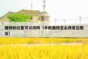 推特的位置可以改吗（手机推特怎么改定位地址）